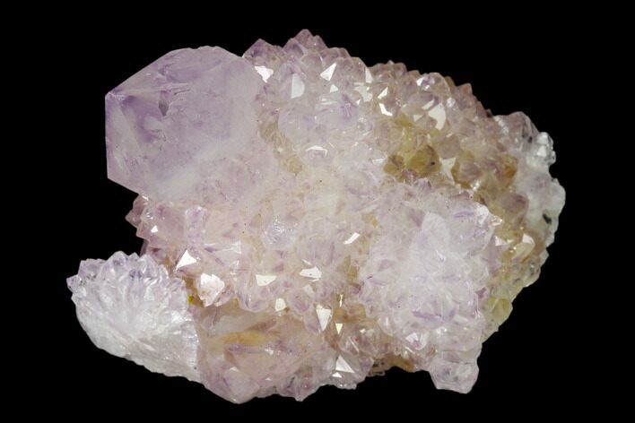 Cactus Quartz (Amethyst) Crystal Cluster - South Africa #137790
